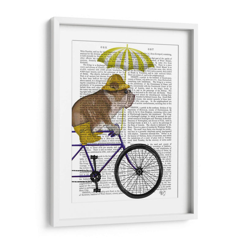 Bulldog Inglés En Bicicleta - Fab Funky | Cuadro decorativo de Canvas Lab