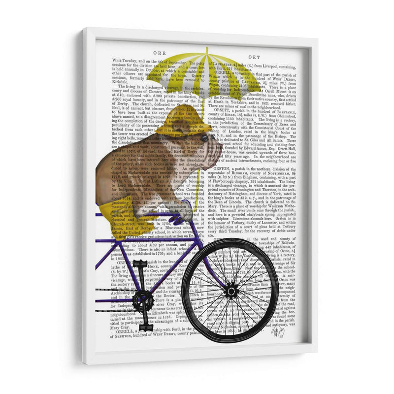 Bulldog Inglés En Bicicleta - Fab Funky | Cuadro decorativo de Canvas Lab