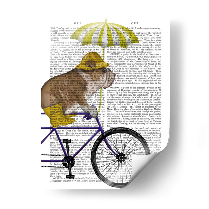 Bulldog Inglés En Bicicleta - Fab Funky | Cuadro decorativo de Canvas Lab