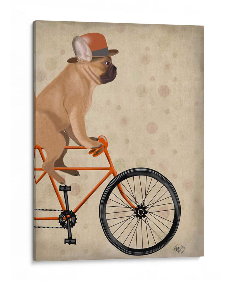 Bulldog Francés En Bicicleta - Fab Funky | Cuadro decorativo de Canvas Lab