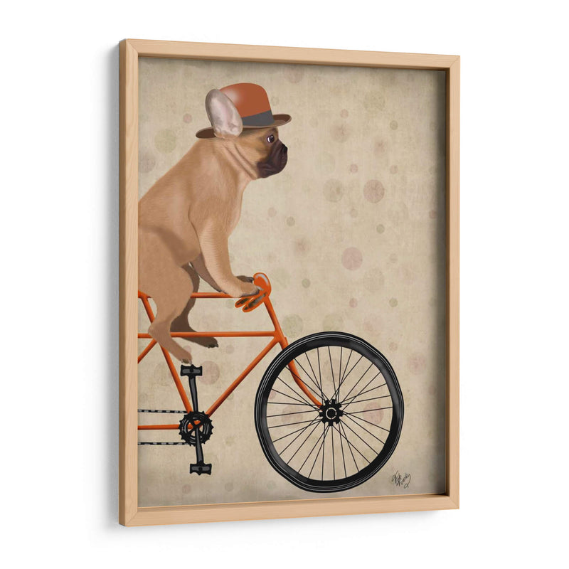 Bulldog Francés En Bicicleta - Fab Funky | Cuadro decorativo de Canvas Lab