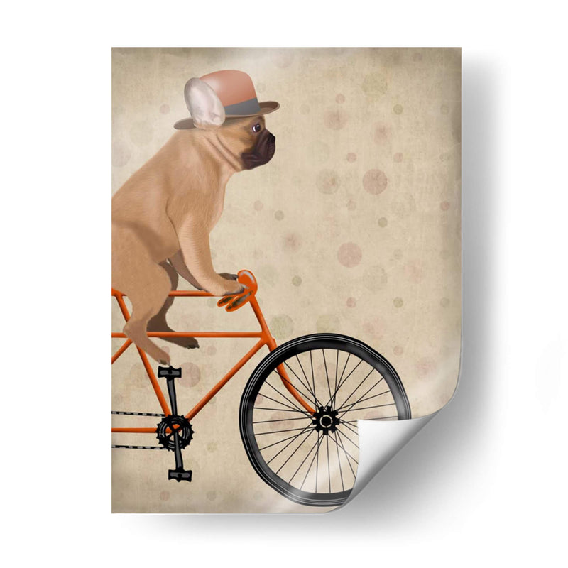 Bulldog Francés En Bicicleta - Fab Funky | Cuadro decorativo de Canvas Lab