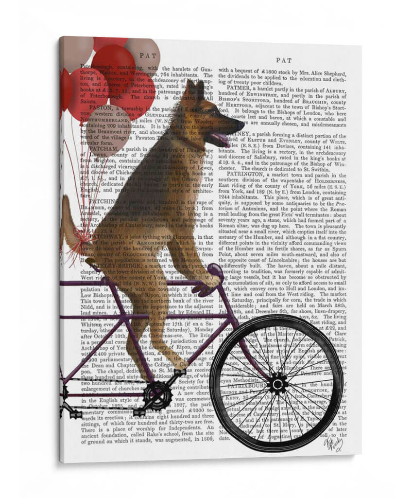 Pastor Alemán En Bicicleta - Fab Funky | Cuadro decorativo de Canvas Lab