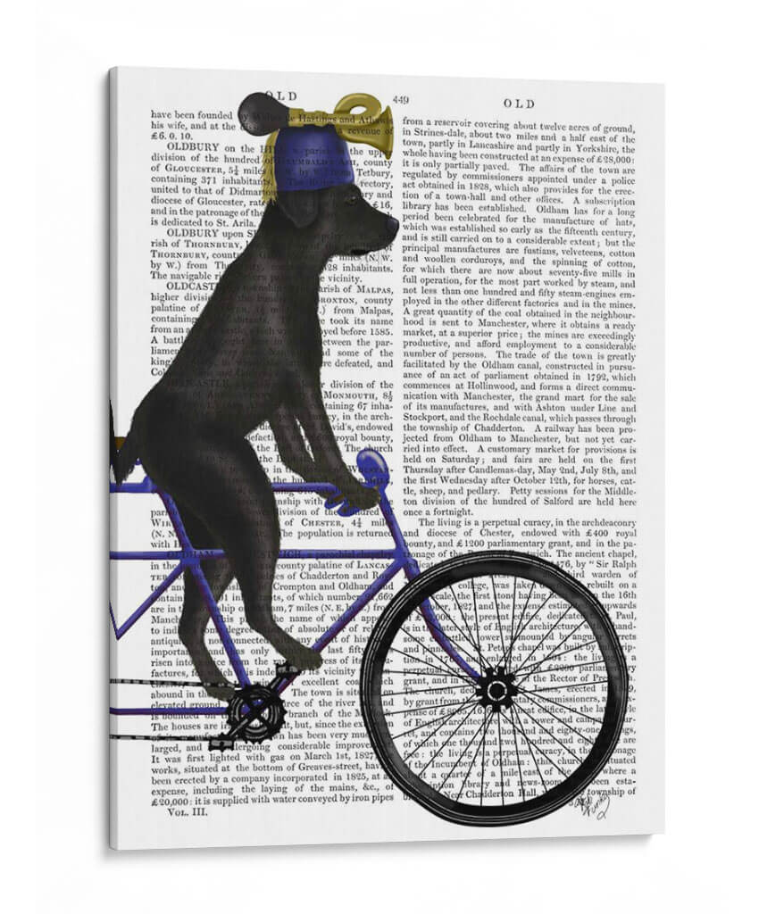 Labrador Negro En Bicicleta - Fab Funky | Cuadro decorativo de Canvas Lab