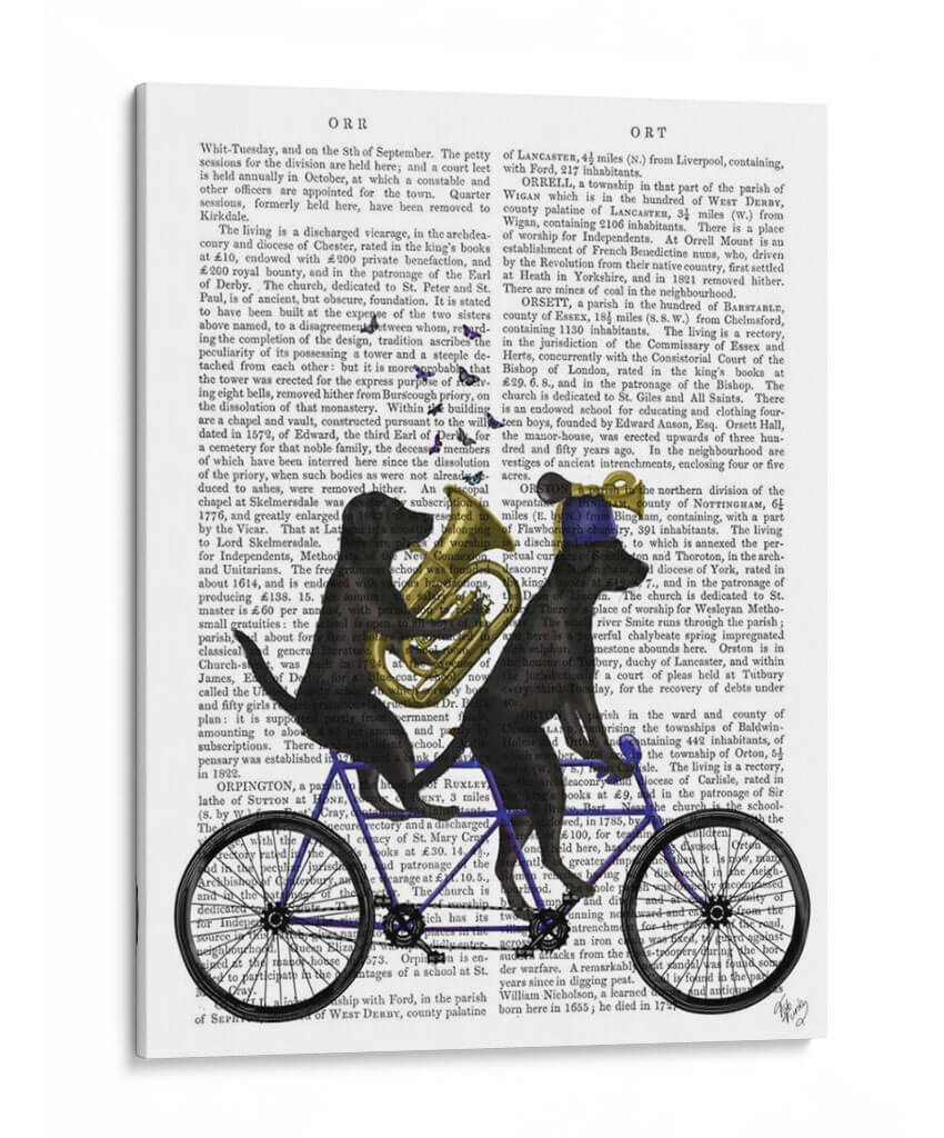 Labrador Negro Tándem - Fab Funky | Cuadro decorativo de Canvas Lab