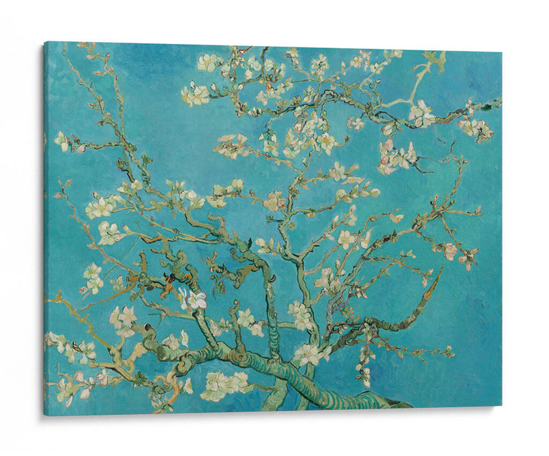 Almendro en flor - Vincent Van Gogh | Cuadro decorativo de Canvas Lab