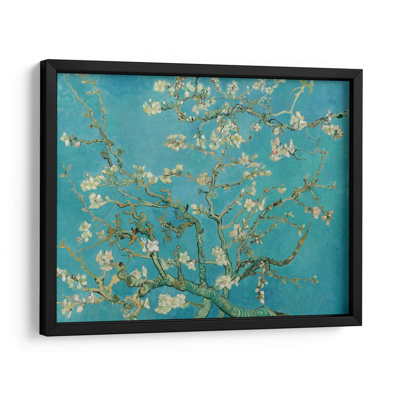 Almendro en flor - Vincent Van Gogh | Cuadro decorativo de Canvas Lab