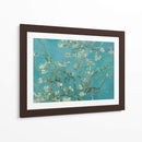 Almendro en flor - Vincent Van Gogh | Cuadro decorativo de Canvas Lab