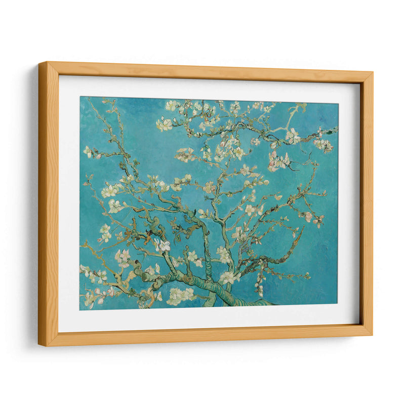 Almendro en flor - Vincent Van Gogh | Cuadro decorativo de Canvas Lab