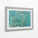 Almendro en flor - Vincent Van Gogh | Cuadro decorativo de Canvas Lab