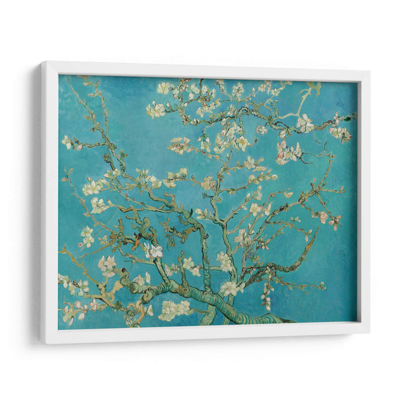 Almendro en flor - Vincent Van Gogh | Cuadro decorativo de Canvas Lab