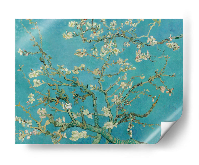 Almendro en flor - Vincent Van Gogh | Cuadro decorativo de Canvas Lab