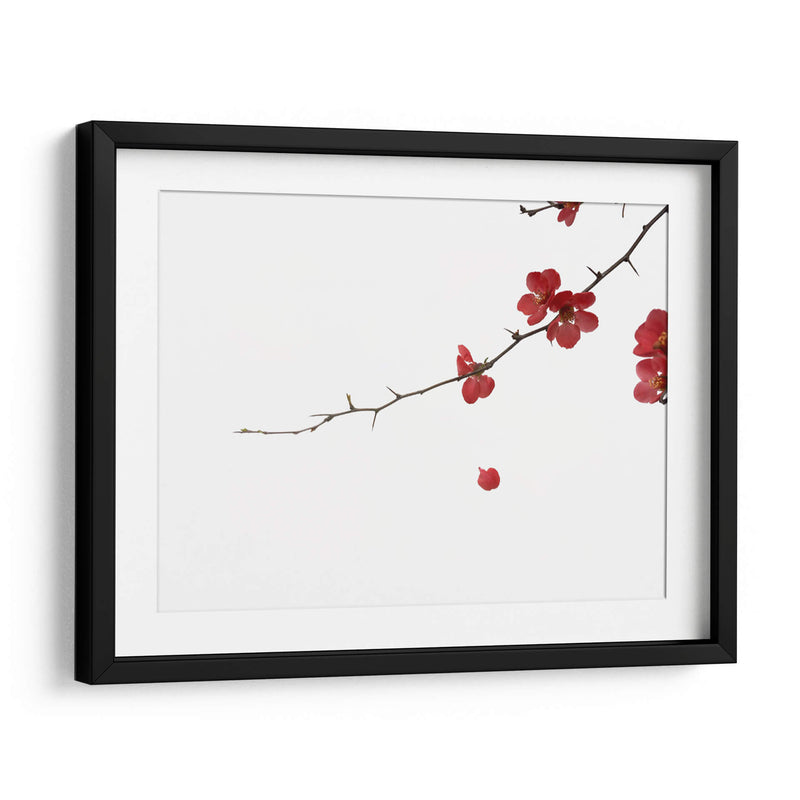 Pétalos rojos | Cuadro decorativo de Canvas Lab