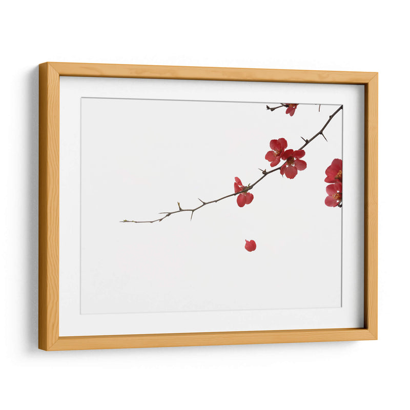 Pétalos rojos | Cuadro decorativo de Canvas Lab