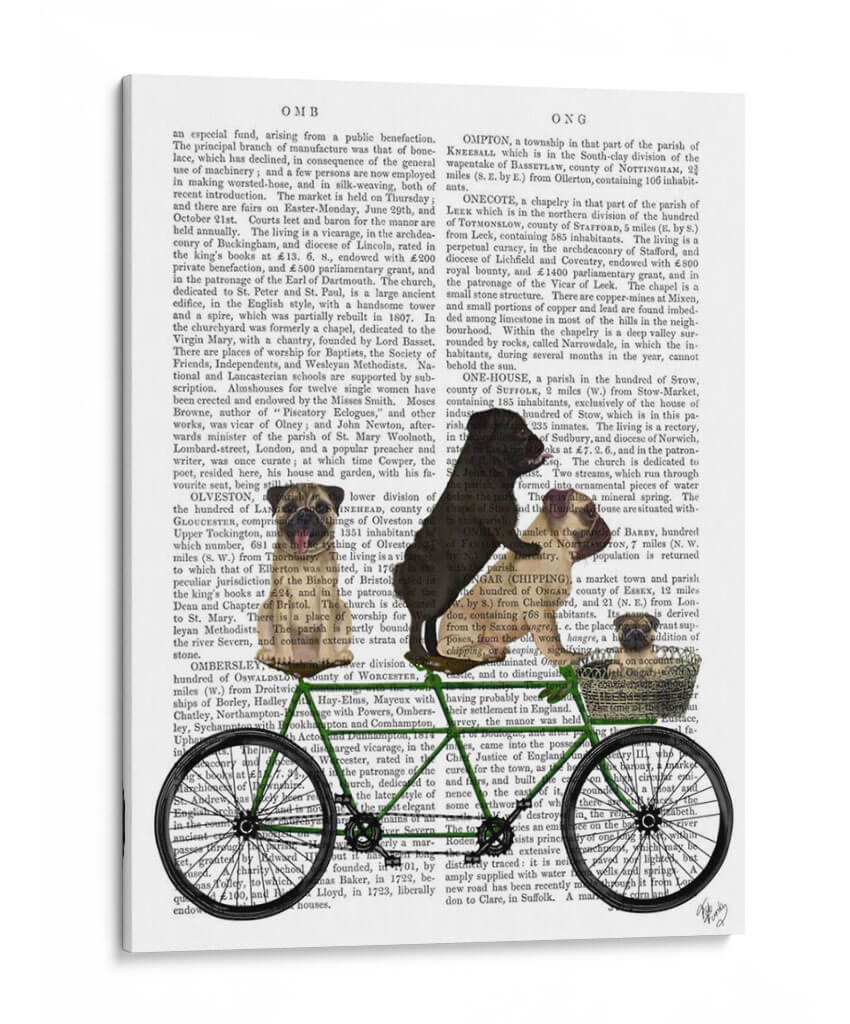 Tándem - Fab Funky | Cuadro decorativo de Canvas Lab