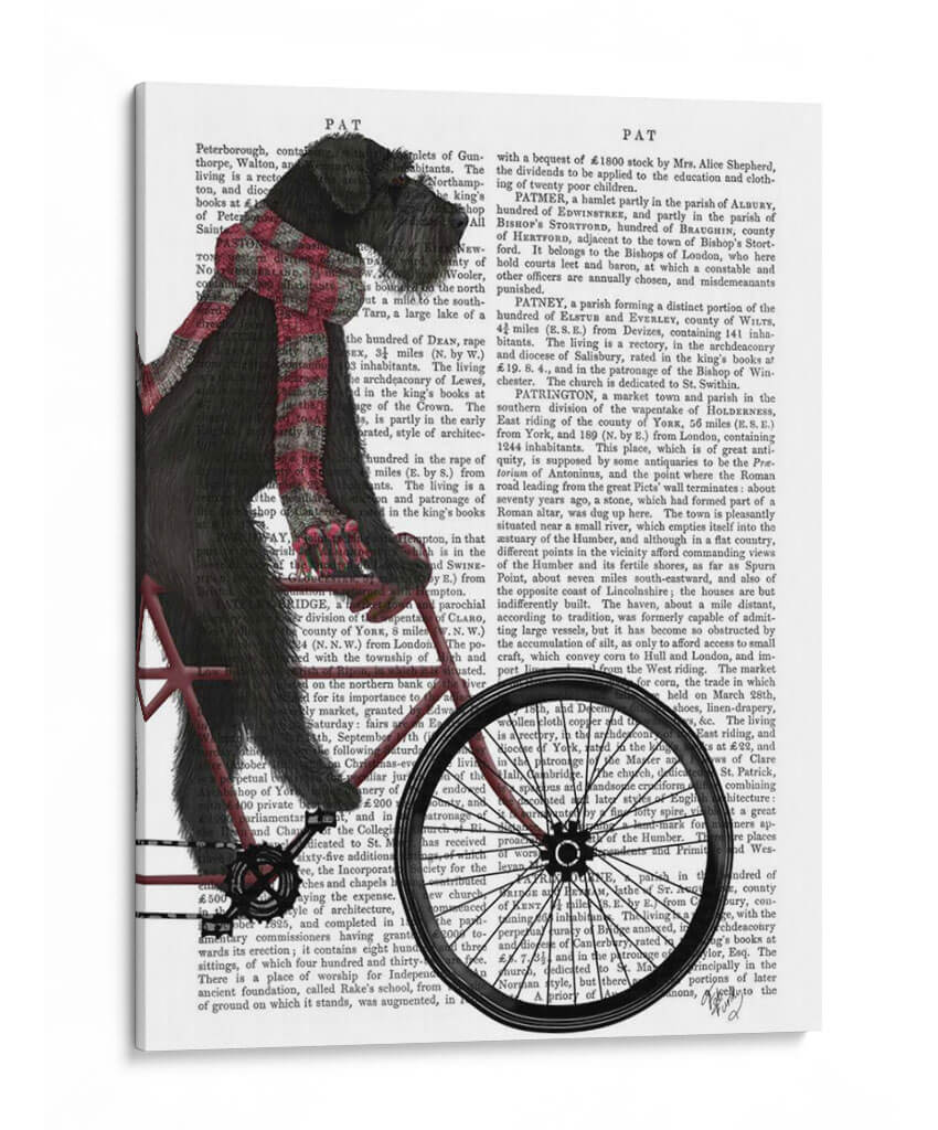 Schnauzer En Bicicleta, Negro - Fab Funky | Cuadro decorativo de Canvas Lab