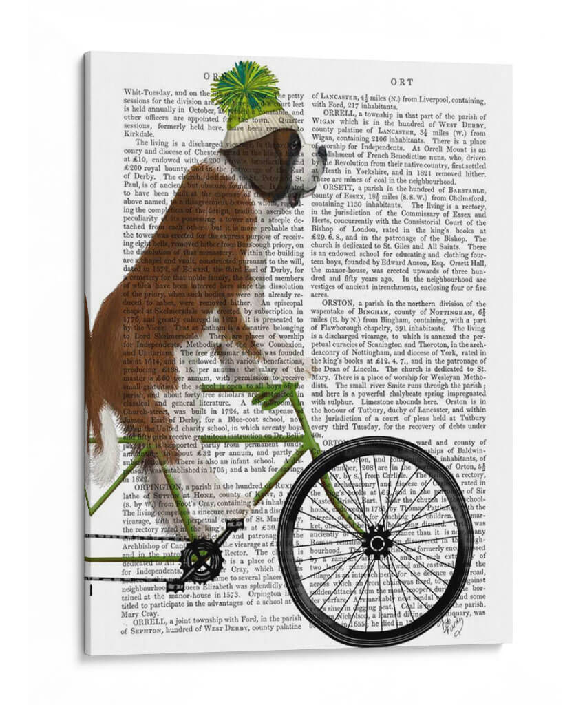 St Bernard En Bicicleta - Fab Funky | Cuadro decorativo de Canvas Lab