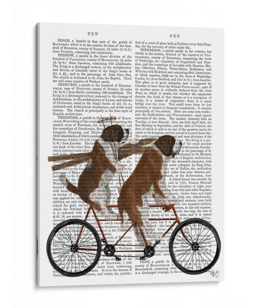 St Bernard Tandem - Fab Funky | Cuadro decorativo de Canvas Lab