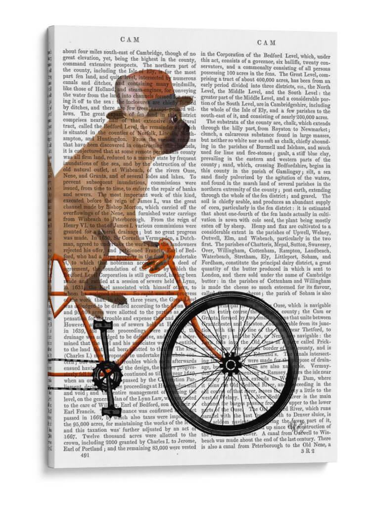 Bulldog Francés En Bicicleta II - Fab Funky | Cuadro decorativo de Canvas Lab