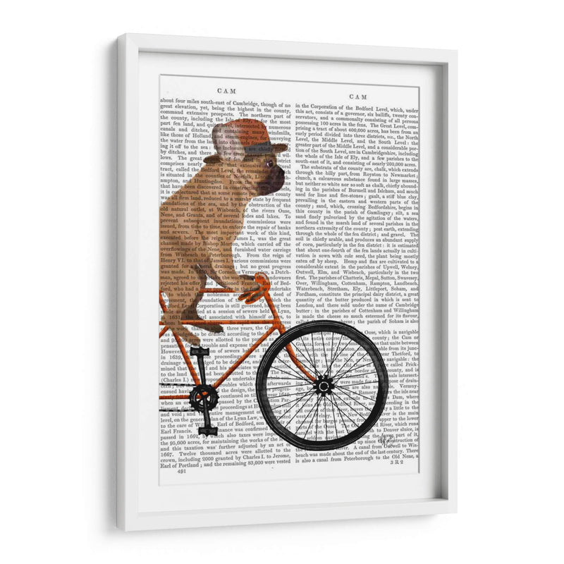 Bulldog Francés En Bicicleta II - Fab Funky | Cuadro decorativo de Canvas Lab