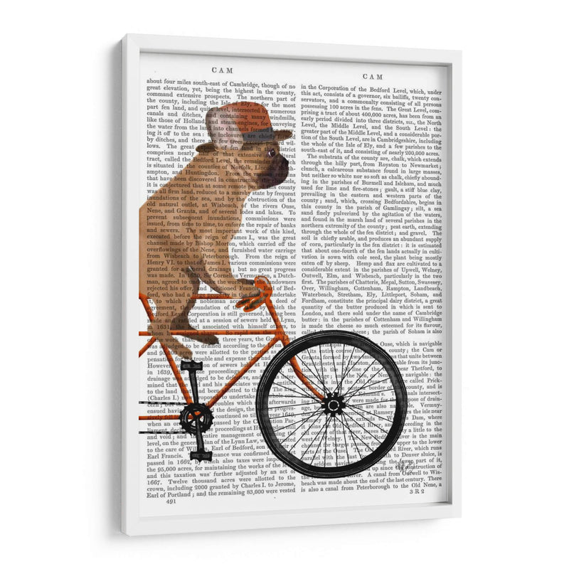 Bulldog Francés En Bicicleta II - Fab Funky | Cuadro decorativo de Canvas Lab