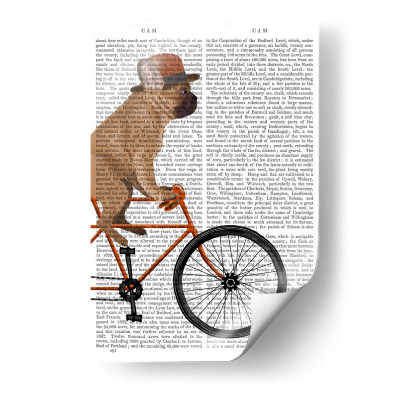 Bulldog Francés En Bicicleta II - Fab Funky | Cuadro decorativo de Canvas Lab