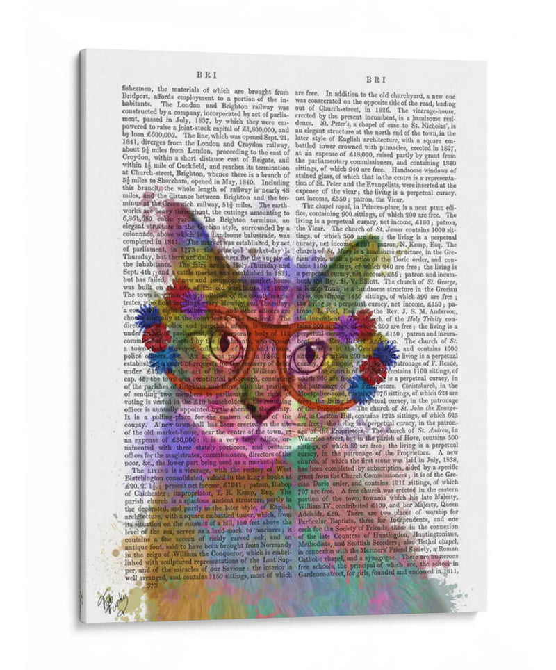 Rainbow Splash Cat 1 - Fab Funky | Cuadro decorativo de Canvas Lab