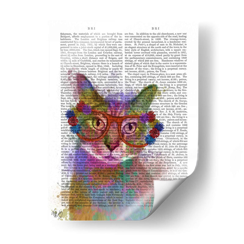 Rainbow Splash Cat 1 - Fab Funky | Cuadro decorativo de Canvas Lab