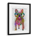 Bulldog Francés Splash Arco Iris, Lleno - Fab Funky | Cuadro decorativo de Canvas Lab
