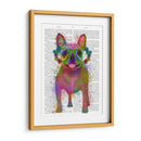 Bulldog Francés Splash Arco Iris, Lleno - Fab Funky | Cuadro decorativo de Canvas Lab