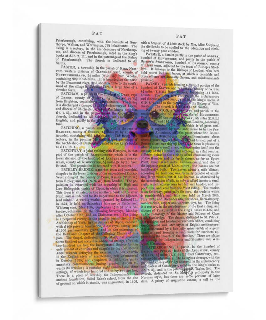 Splash De Arco Iris Pomeranian - Fab Funky | Cuadro decorativo de Canvas Lab