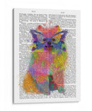 Splash De Arco Iris Pomeranian - Fab Funky | Cuadro decorativo de Canvas Lab