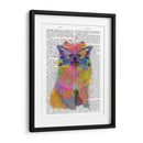 Splash De Arco Iris Pomeranian - Fab Funky | Cuadro decorativo de Canvas Lab