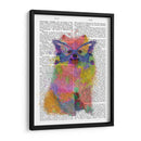 Splash De Arco Iris Pomeranian - Fab Funky | Cuadro decorativo de Canvas Lab