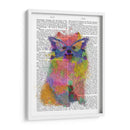 Splash De Arco Iris Pomeranian - Fab Funky | Cuadro decorativo de Canvas Lab