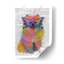Splash De Arco Iris Pomeranian - Fab Funky | Cuadro decorativo de Canvas Lab