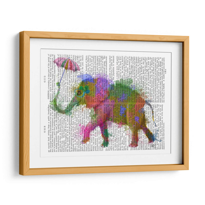 Arco Iris Salpicaduras Elefantes - Fab Funky | Cuadro decorativo de Canvas Lab