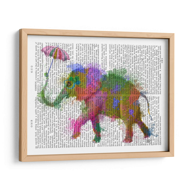 Arco Iris Salpicaduras Elefantes - Fab Funky | Cuadro decorativo de Canvas Lab