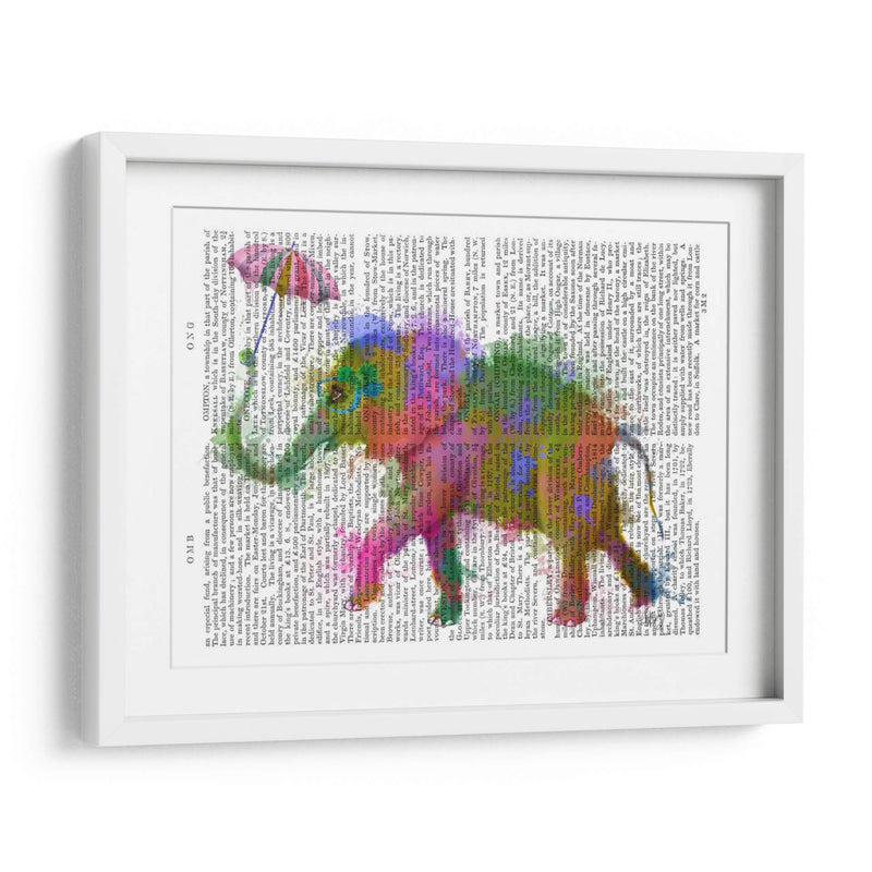 Arco Iris Salpicaduras Elefantes - Fab Funky | Cuadro decorativo de Canvas Lab