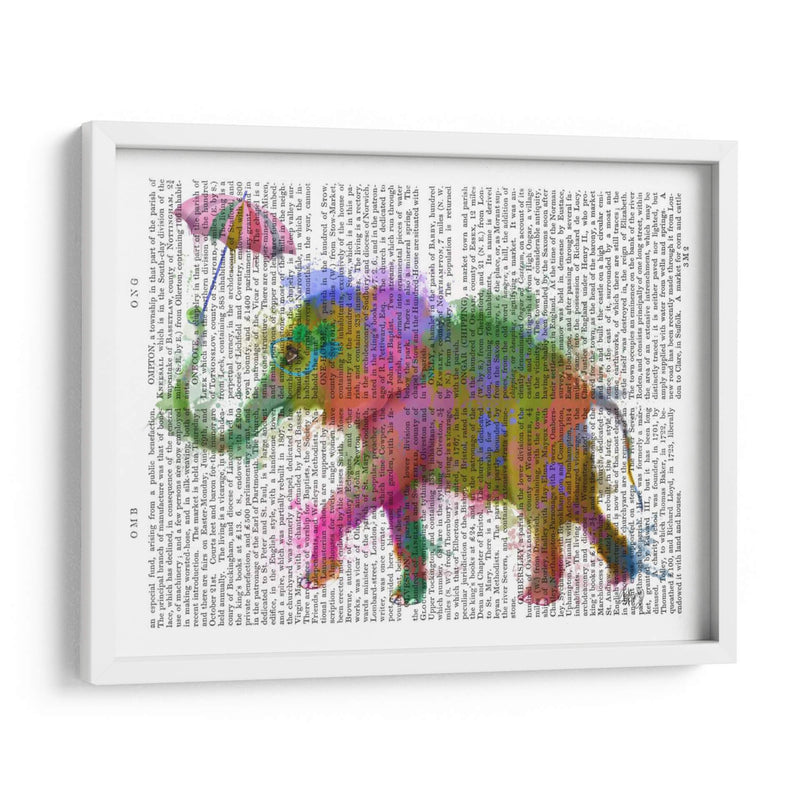 Arco Iris Salpicaduras Elefantes - Fab Funky | Cuadro decorativo de Canvas Lab