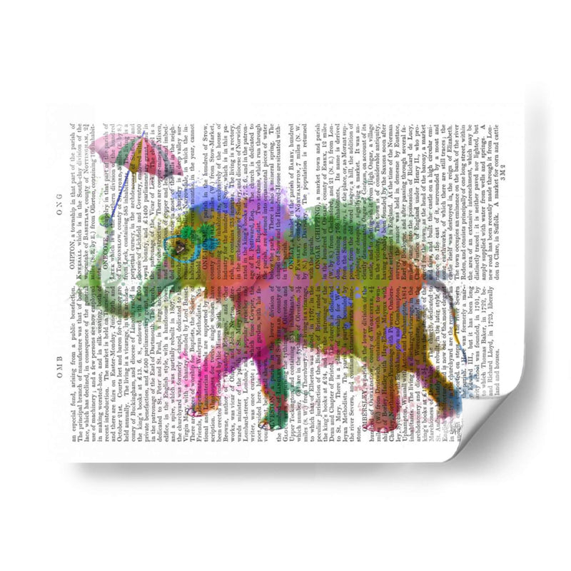 Arco Iris Salpicaduras Elefantes - Fab Funky | Cuadro decorativo de Canvas Lab