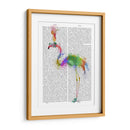 Arco Iris Splash Flamingo 1 - Fab Funky | Cuadro decorativo de Canvas Lab