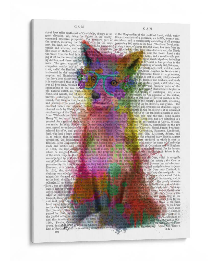 Arco Iris Splash Fox 1 - Fab Funky | Cuadro decorativo de Canvas Lab