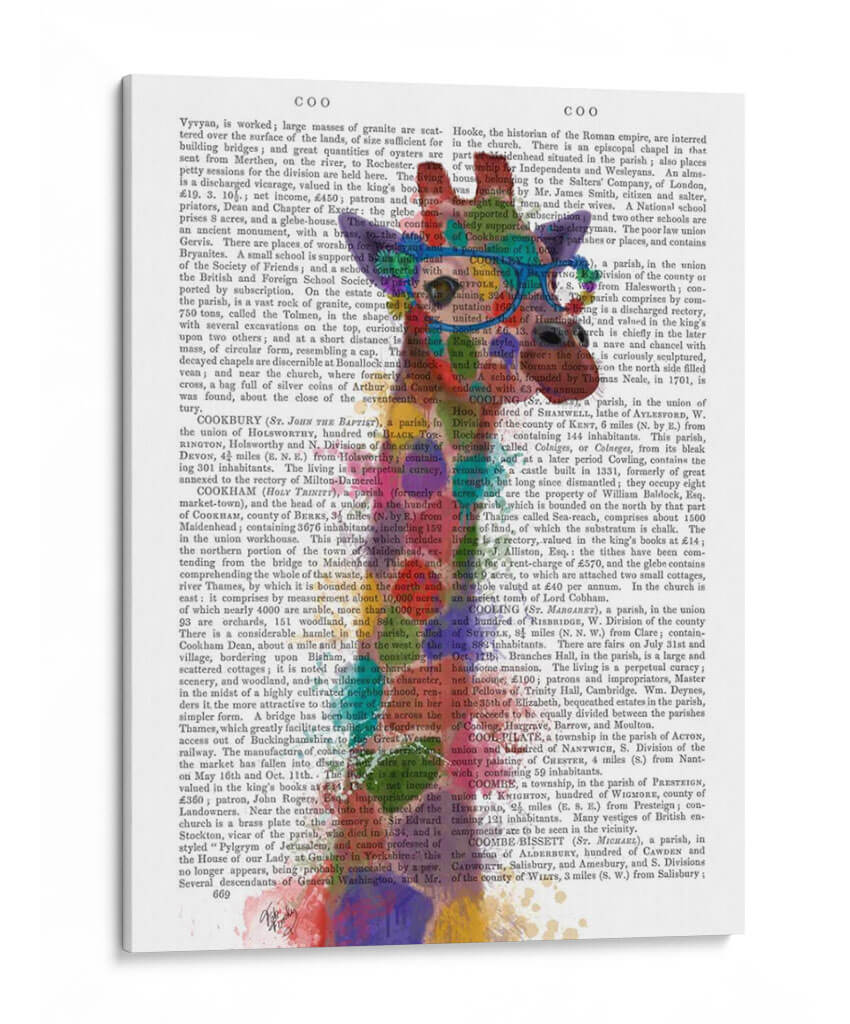 Rainbow Splash Giraffe 2 - Fab Funky | Cuadro decorativo de Canvas Lab