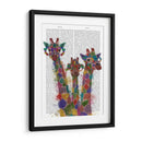 Arco Iris Splash Jiraffe Trio - Fab Funky | Cuadro decorativo de Canvas Lab