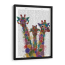 Arco Iris Splash Jiraffe Trio - Fab Funky | Cuadro decorativo de Canvas Lab