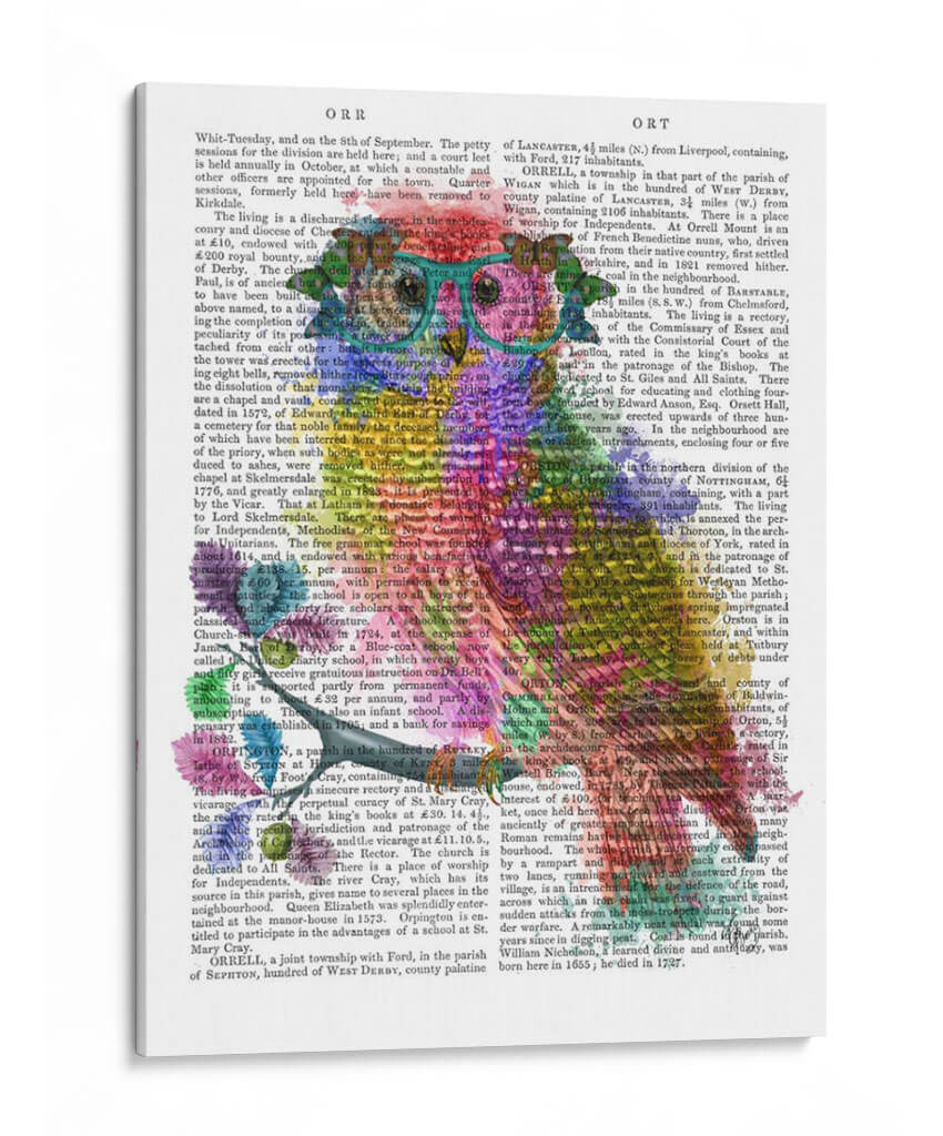 Búho De Salpicaduras Del Arco Iris - Fab Funky | Cuadro decorativo de Canvas Lab