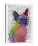 Rainbow Splash Cat 2 - Fab Funky | Cuadro decorativo de Canvas Lab