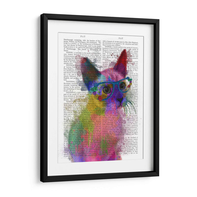 Rainbow Splash Cat 2 - Fab Funky | Cuadro decorativo de Canvas Lab