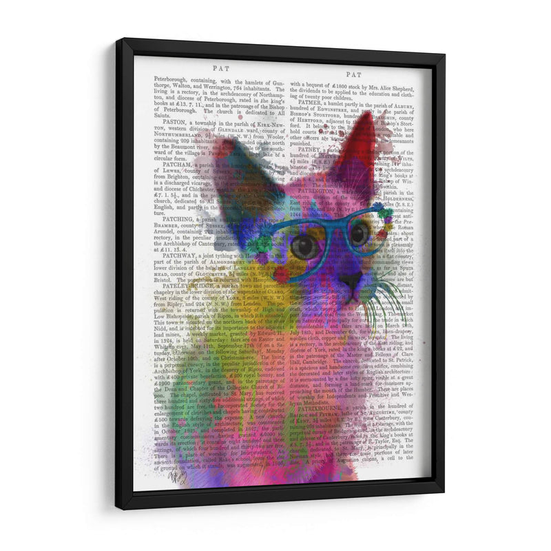 Rainbow Splash Cat 2 - Fab Funky | Cuadro decorativo de Canvas Lab